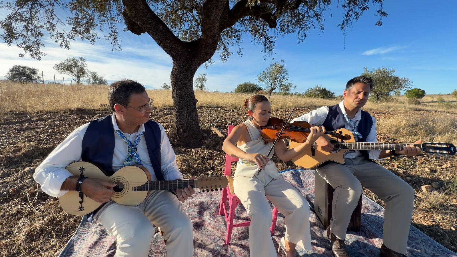 O trio a tocar debaixo de uma árvore